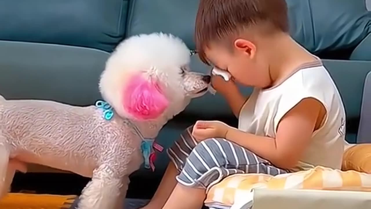 Pet and paw