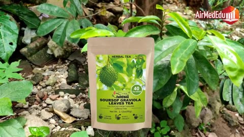 45 Beneficios del Té de Guanábana