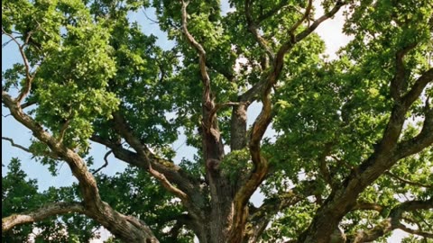 Joy in God’s Strength