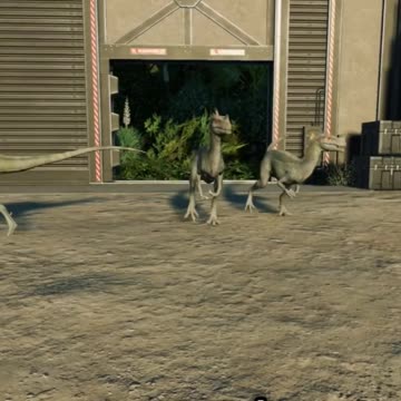 Ornitholestes: The Jurassic Bird Robber!