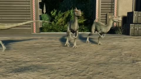 Ornitholestes: The Jurassic Bird Robber!