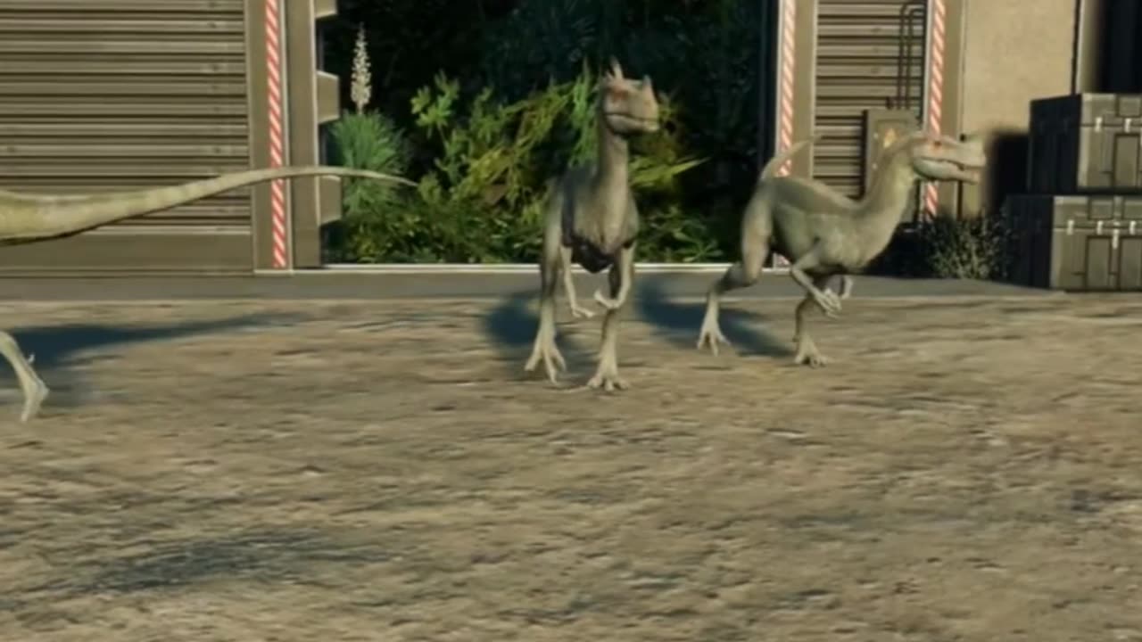 Ornitholestes: The Jurassic Bird Robber!