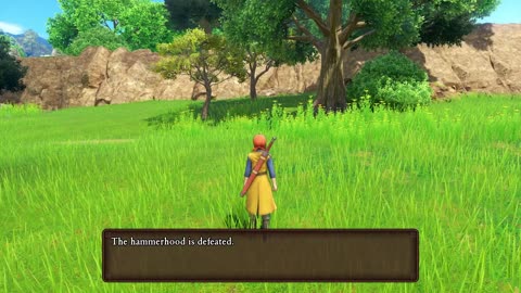 Let's Play Dragon Quest XI S: Echoes of an Elusive Age (PS4 on PS5) part 2