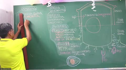 VONEX REPASO 2025 | Semana 01 | Biología S1
