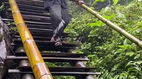 Funny video
