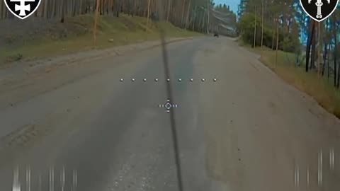 👀🐝 Another example of an FPV drone diving under a protective net on the road