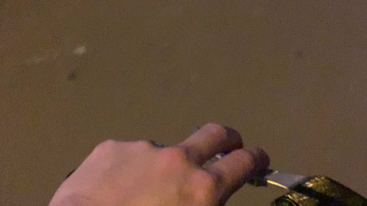 Constanța City August 2025