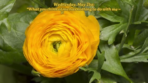 Love Me or Hate Me... ~ Wednesday, May 21, 2025 Numerology @ a Glance!