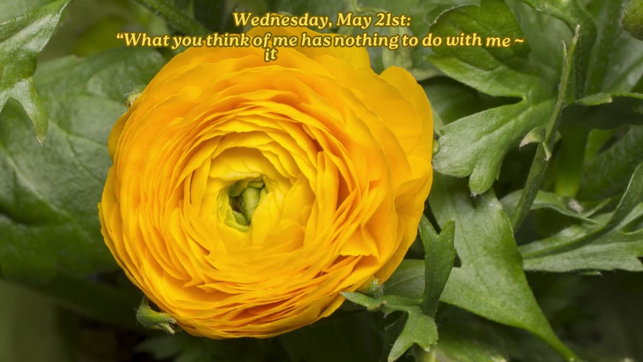 Love Me or Hate Me... ~ Wednesday, May 21, 2025 Numerology @ a Glance!