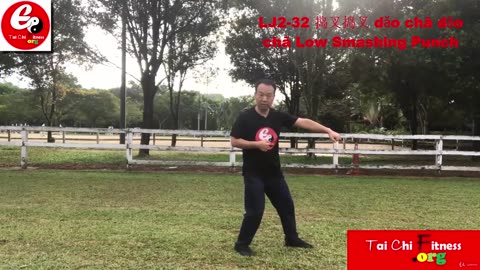 Aerobic Tai Chi Workout-034-Low Smashing Punch