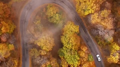 The nature of this land