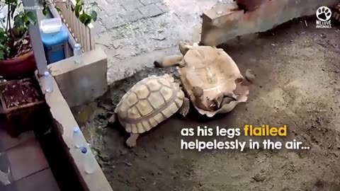 Good friend saves the day