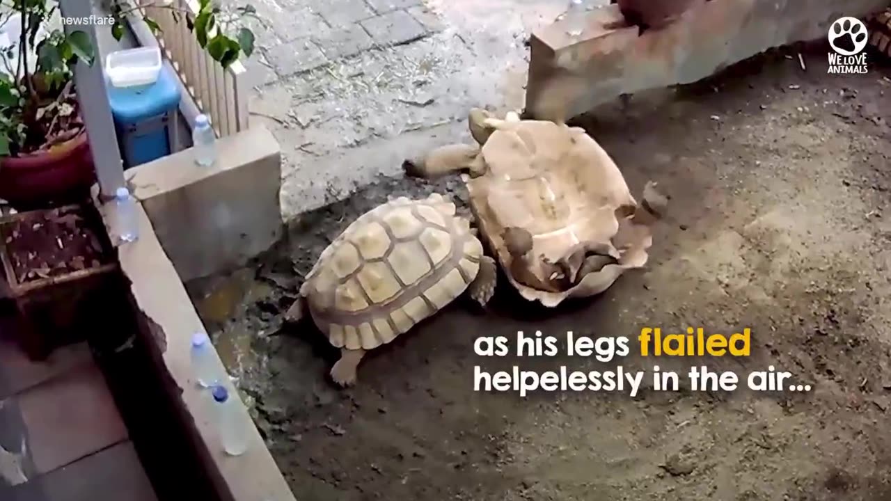 Good friend saves the day