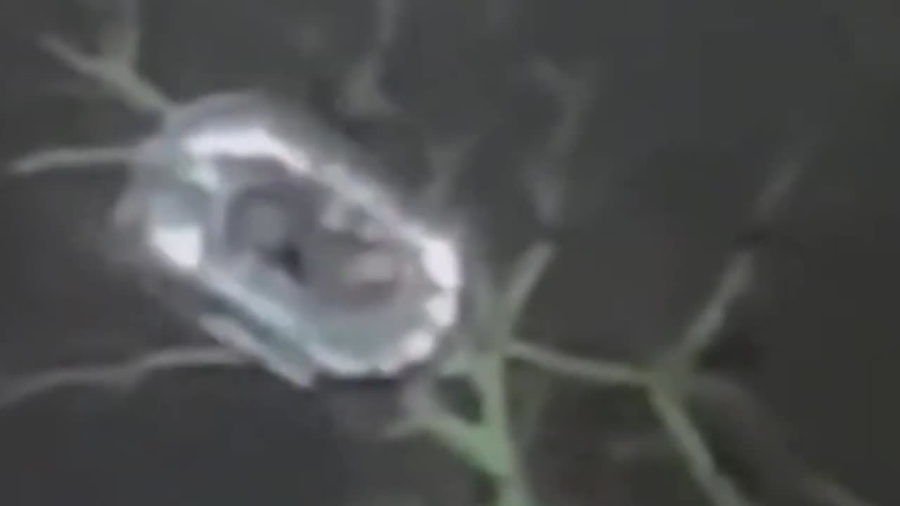 Scientists discover 20 mile long UFO that may appear by 10/27/25!! False flag warning at the end!
