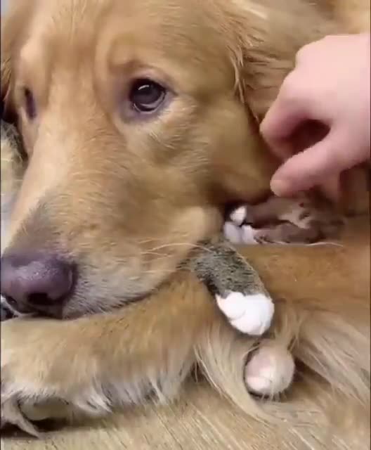 I protect you.. 😂