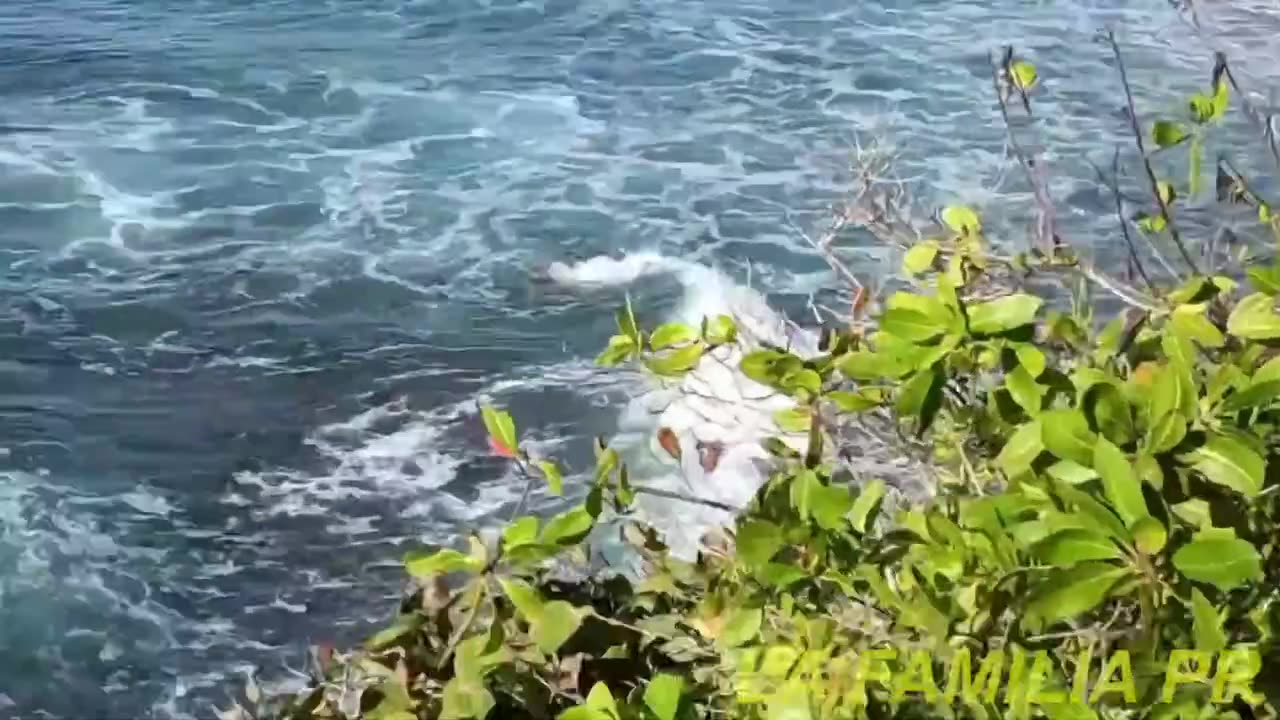 Welcome Puerto Rico 🇵🇷