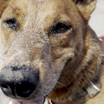 fun at the beach 2908420984