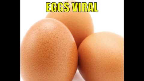 Make These Eggs Viral Please!