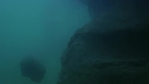 "The Deep" Starring Robert Shaw, Jacqueline Bisset, Nick Nolte and Louis Gossett Jr. 