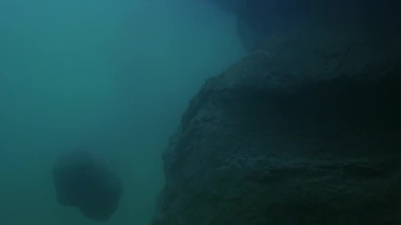 "The Deep" Starring Robert Shaw, Jacqueline Bisset, Nick Nolte and Louis Gossett Jr.