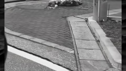 😱👻 The Mysterious Force Behind This Paranormal Encounter! Creepy Paranormal Videos | TheHauntingHour