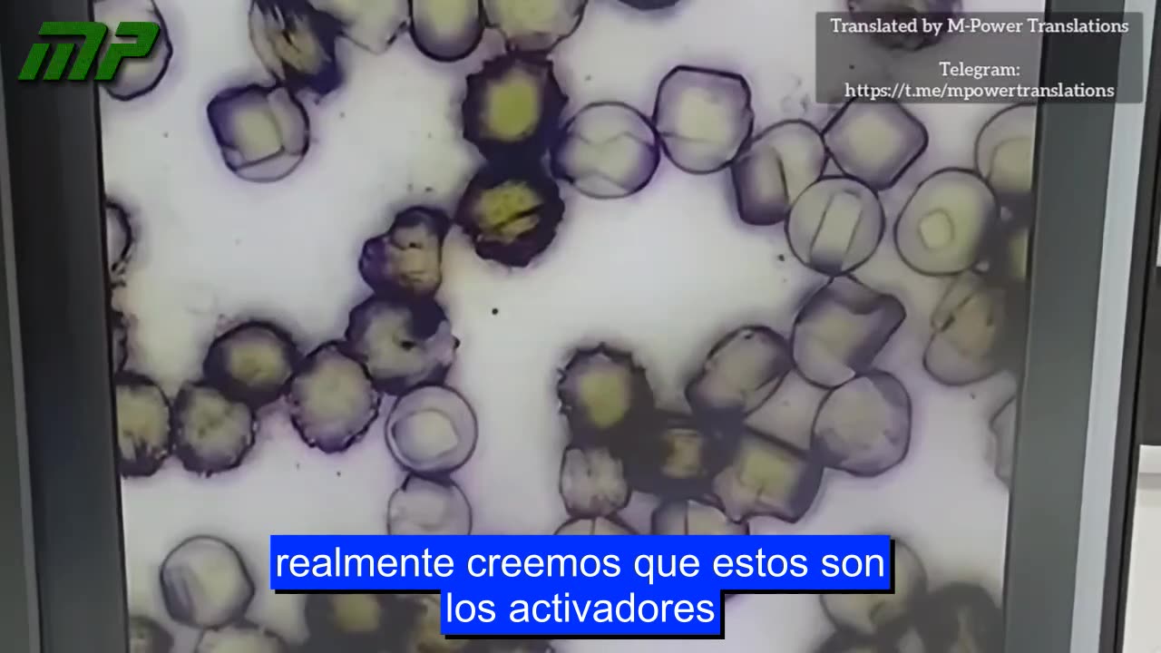 Sangre sintética con presencia de nanotecnología en el interior de los glóbulos rojos.