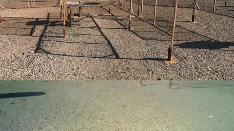 Dynamic Shooting Sports USPSA - September 14th, 2025 (Carry Optics)