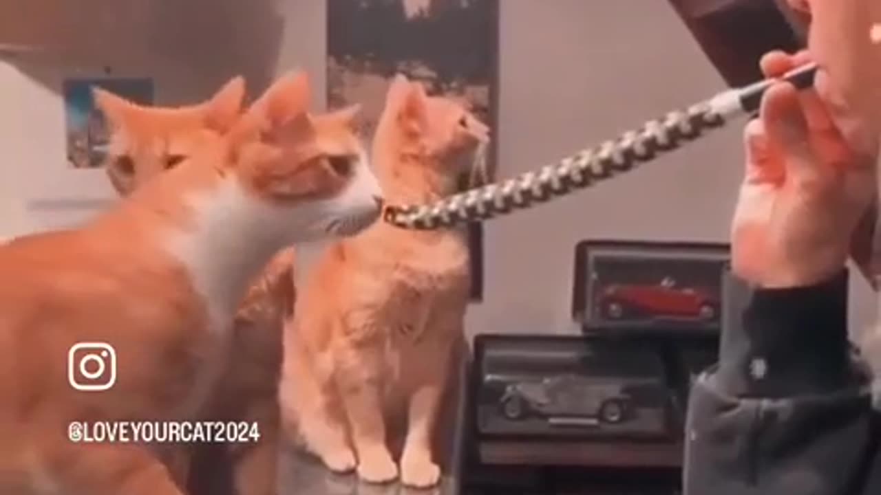 😱😂 What Is This THI-AHHHHHHH Moment? | FunFM