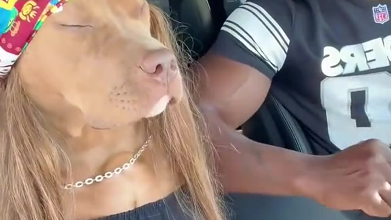 try not to laugh