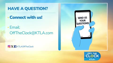 Ask the Vet: Popular pet wellness trends, from weight loss to new tech