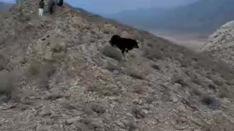 Majestic Mountains of Balochistan | Nature’s Hidden Beauty
