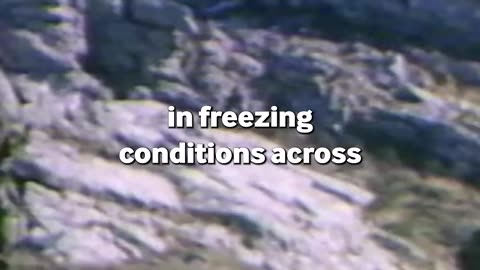 How the Falklands Conflict created the term, 'Yomping'