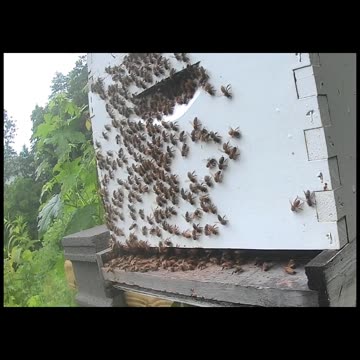 Sunday Morning Sunrise