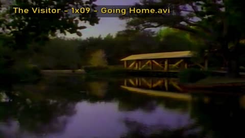 Story-Stream The Versatile View