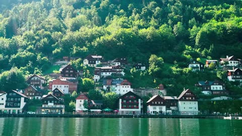 The morning landscape is bathed in sunlight, warm and peaceful.