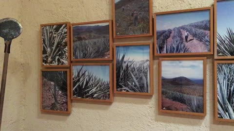 Museum of Tequila (Jalisco, Mexico) 1
