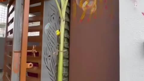 North facing House For Sale 30×45.5 Sqft Bangalore || बैंगलोर में ड्रीम होम - अभी बिक्री के लिए ||