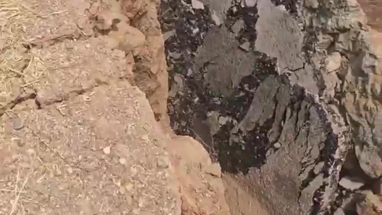 Massive Surface Rupture After A Powerful 7.7-Magnitude Earthquake Strikes Myanmar