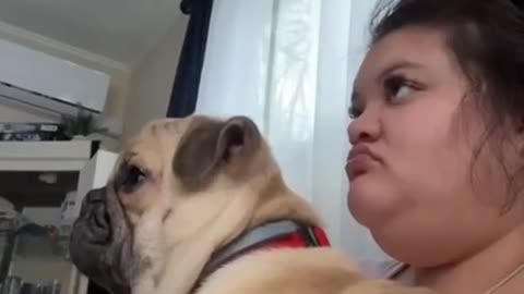 Cute and funny animals