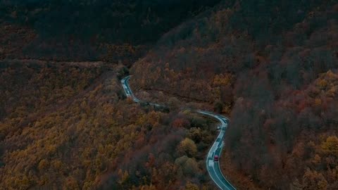 Daily Horoscope | Capricorn 🌟