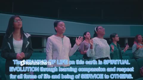 What is Lifes TRUE Meaning?