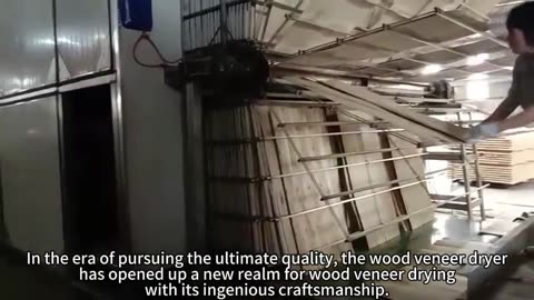 the wood veneer dryer