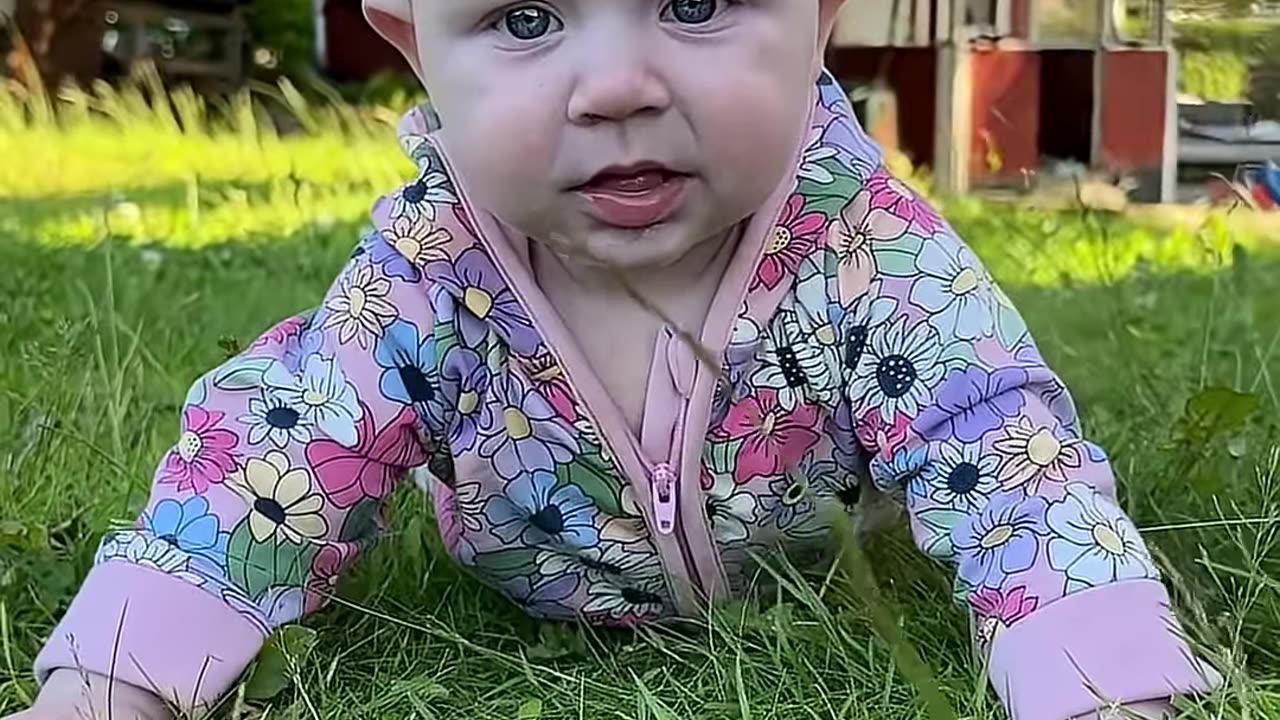 baby kayla’s joyful playtime in the grass! 🌿 pure cuteness