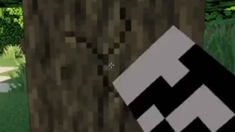 Admiring Minecraft