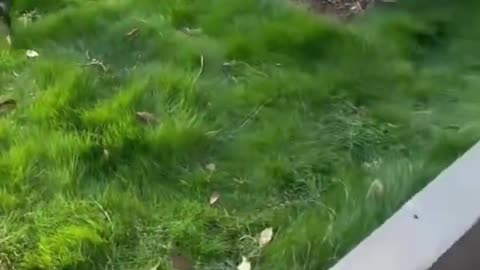 🤣😍 You Won't Believe This Cute Awkwardness! | FunFM