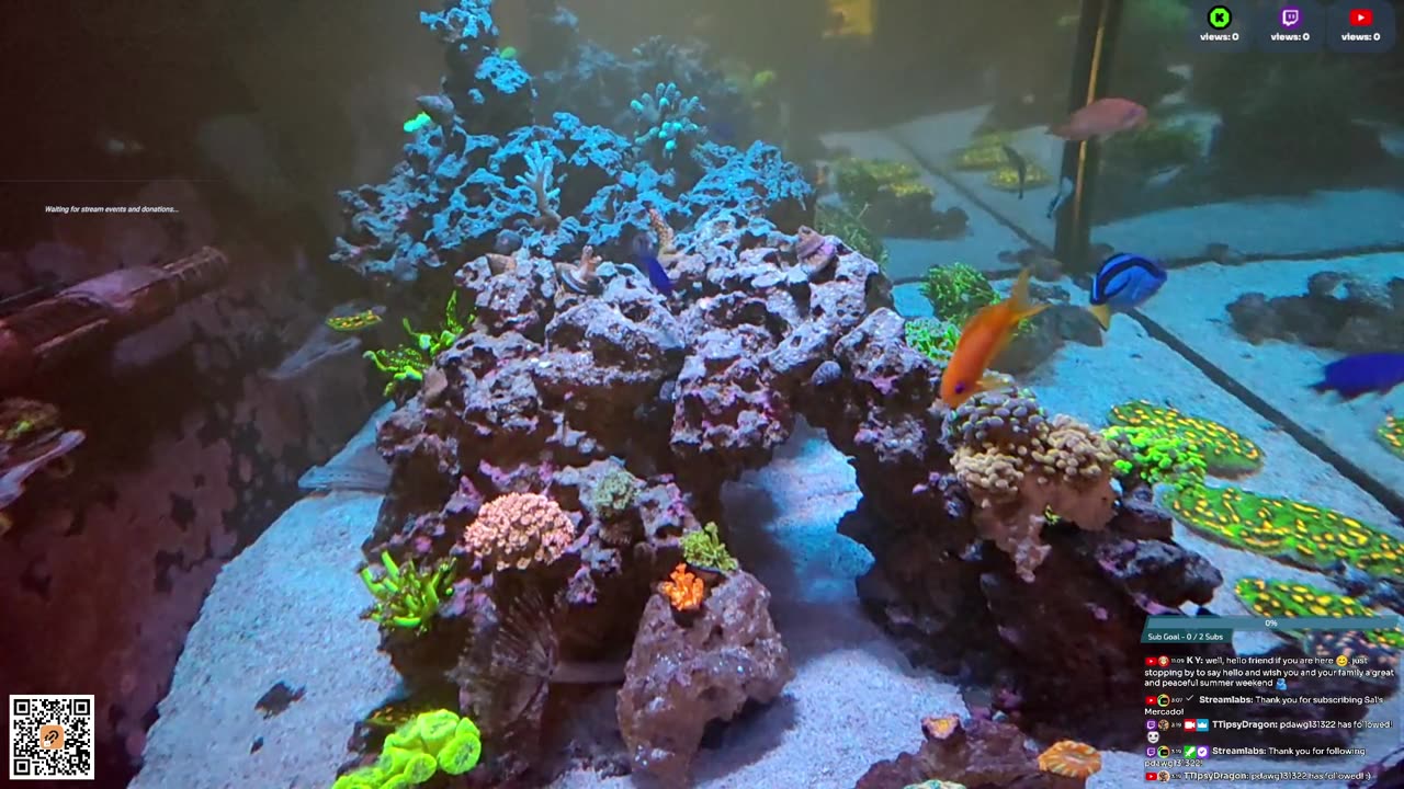 24/7 Real Live Reef Stream