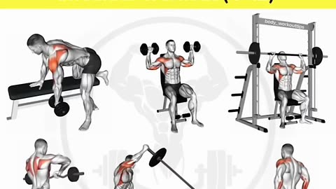 Ultimate Shoulder workout increae peranality