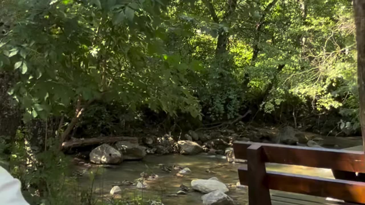 Gastoz i Andjela - Savardak