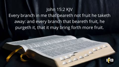 WOW - Fruit of the Spirit Part 2