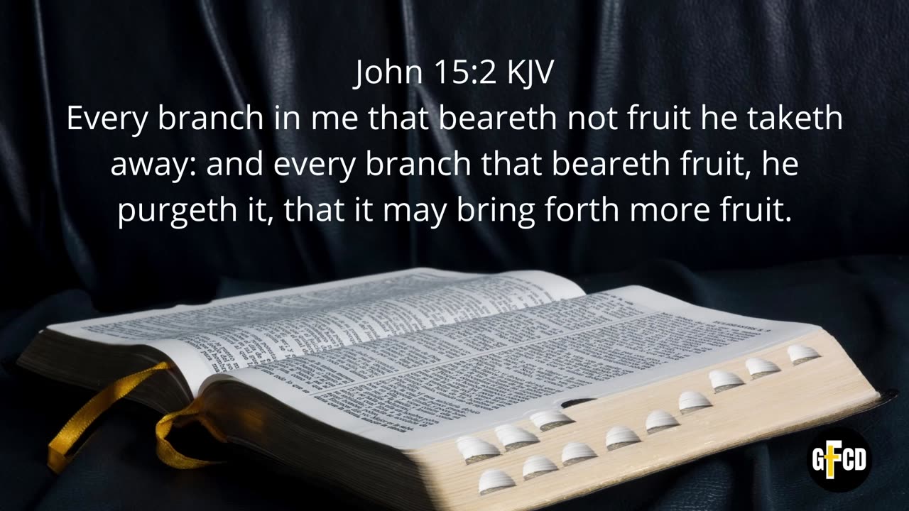 WOW - Fruit of the Spirit Part 2